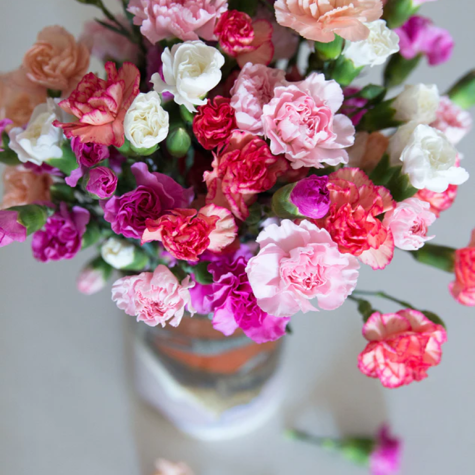 Carnations