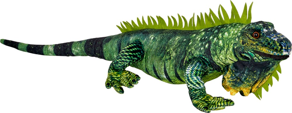 Λούτρινο Ιγουάνα Green Iguana Nature Zoom Wild, Die Spiegelburg