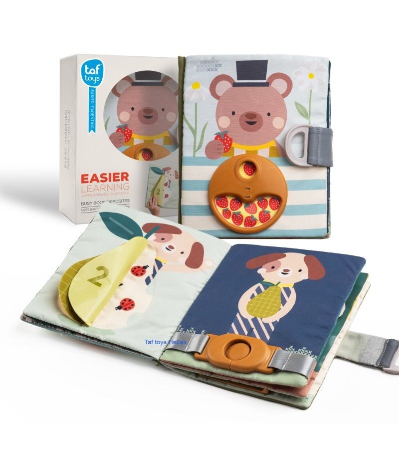 Βιβλίο Δραστηριοτήτων Fantasy Busy, Taf Toys 