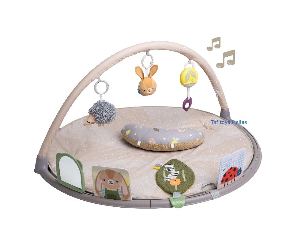 Χαλάκι Δραστηριοτήτων Activity Gym Tummy Time, Taf Toys