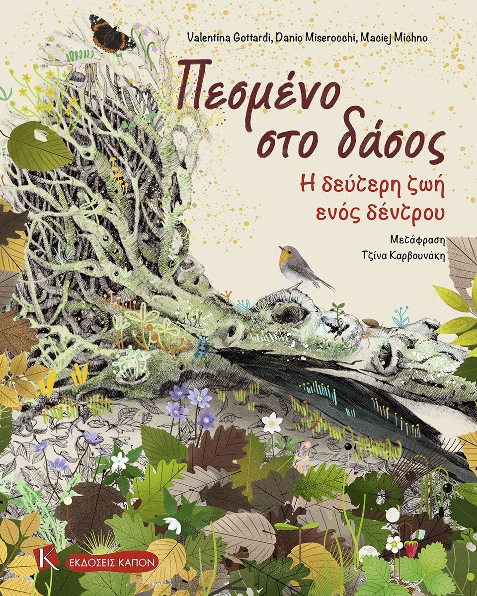 Πεσμένο στο Δάσος - Η δεύτερη ζωή ενός δέντρου